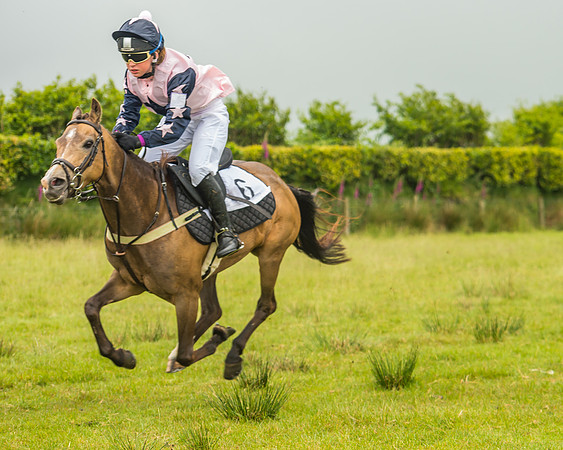 Division 1 of the 138cm Pony Race