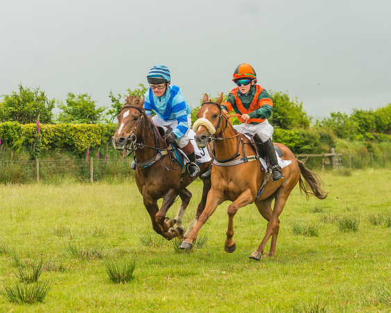 Division 1 of the 138cm Pony Race