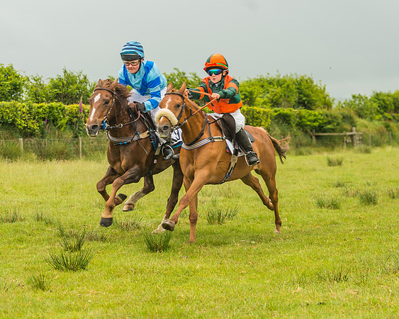 Division 1 of the 138cm Pony Race