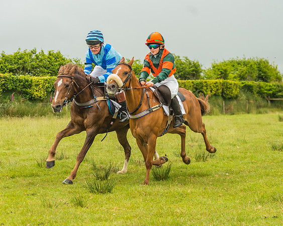 Division 1 of the 138cm Pony Race