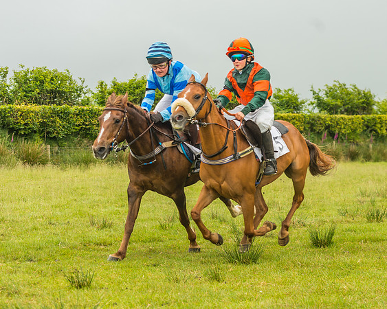 Division 1 of the 138cm Pony Race