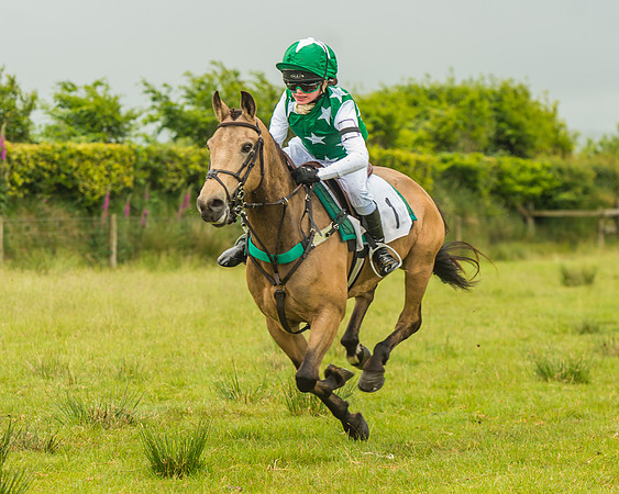 Division 1 of the 138cm Pony Race