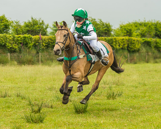 Division 1 of the 138cm Pony Race