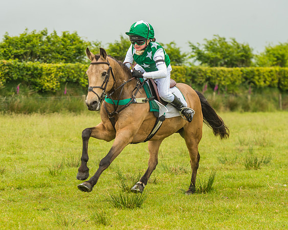 Division 1 of the 138cm Pony Race