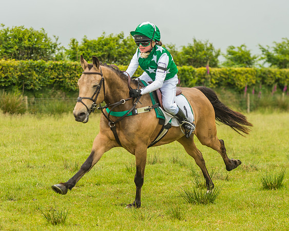 Division 1 of the 138cm Pony Race