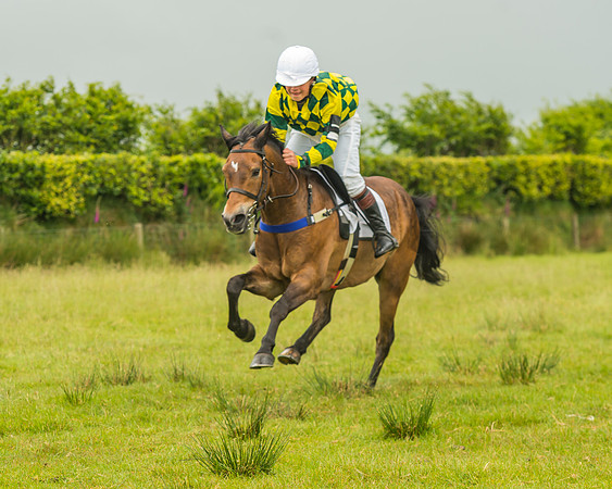 Division 1 of the 138cm Pony Race