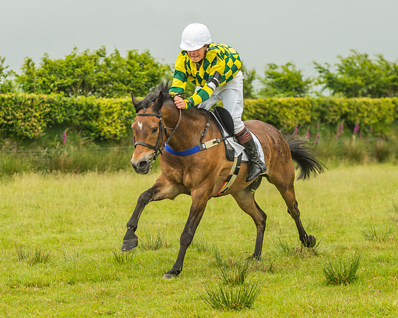 Division 1 of the 138cm Pony Race