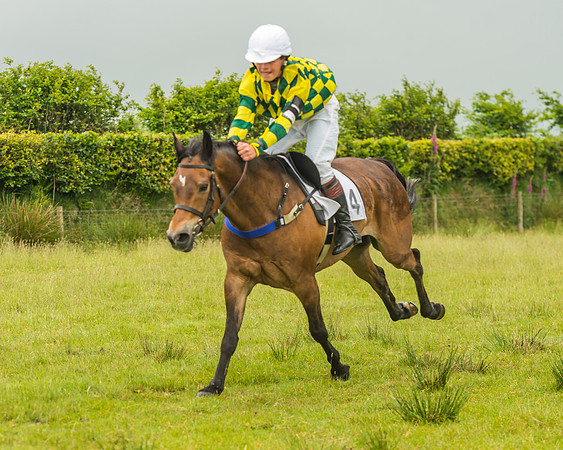 Division 1 of the 138cm Pony Race
