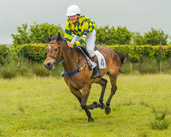 Division 1 of the 138cm Pony Race