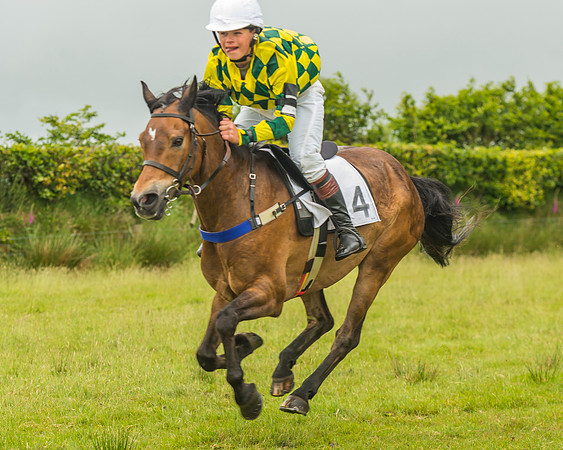 Division 1 of the 138cm Pony Race