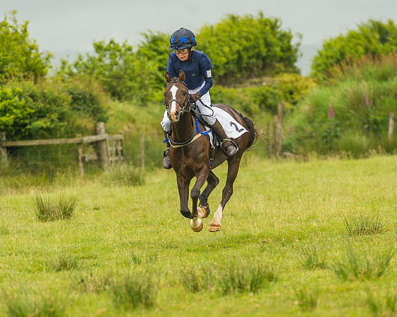 Division 1 of the 138cm Pony Race