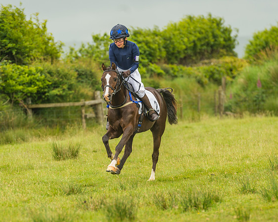 Division 1 of the 138cm Pony Race