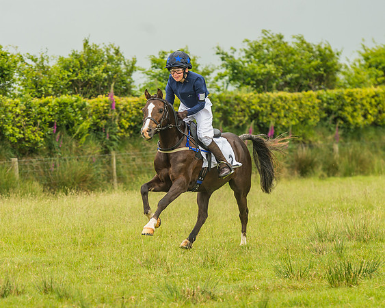 Division 1 of the 138cm Pony Race