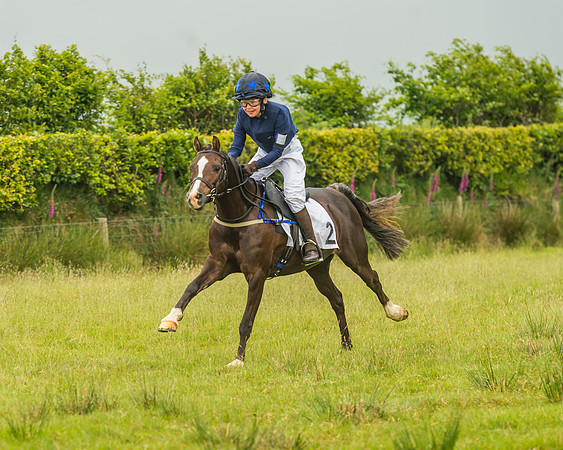 Division 1 of the 138cm Pony Race