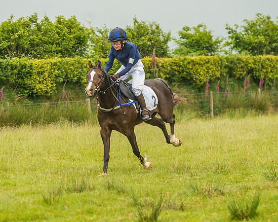 Division 1 of the 138cm Pony Race
