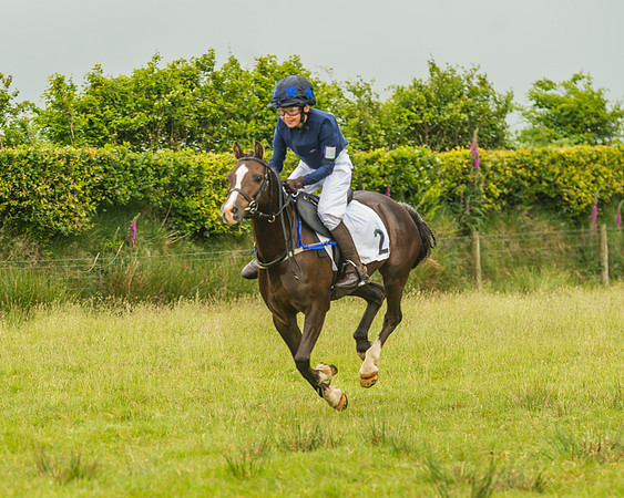 Division 1 of the 138cm Pony Race