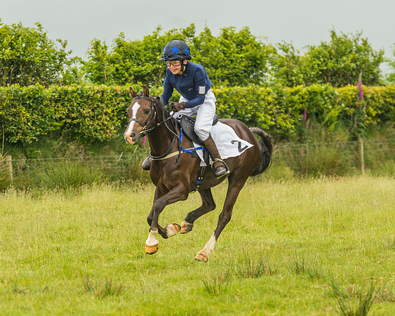 Division 1 of the 138cm Pony Race