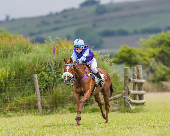 Pony Race 1 - 138 - Div 2