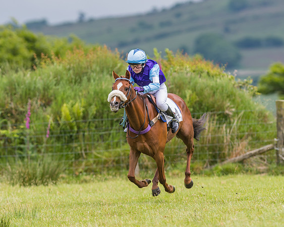 Pony Race 1 - 138 - Div 2
