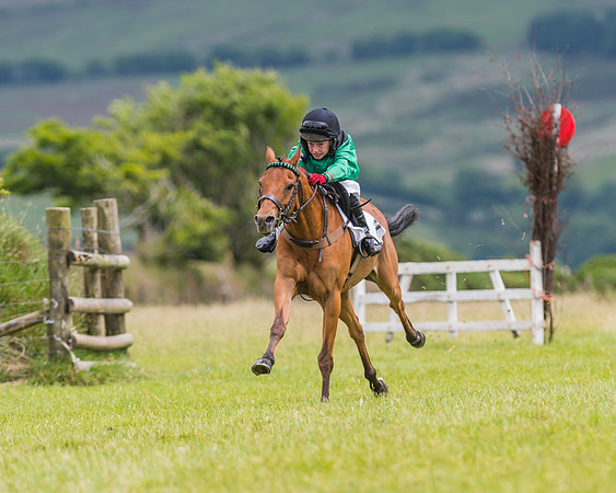 Pony Race 1 - 138 - Div 2