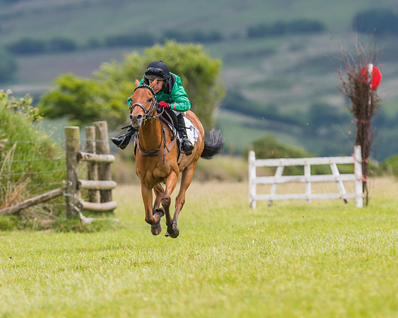 Pony Race 1 - 138 - Div 2