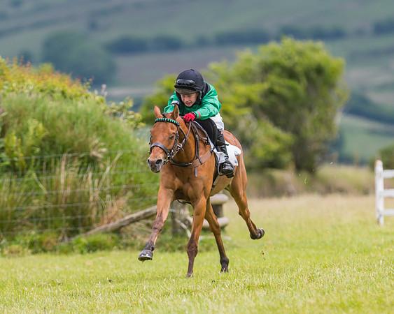 Pony Race 1 - 138 - Div 2