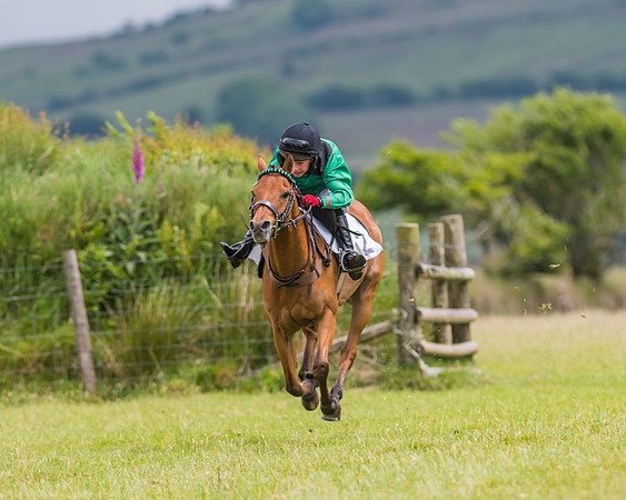Pony Race 1 - 138 - Div 2