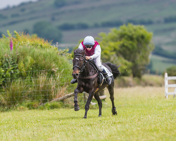 Pony Race 1 - 138 - Div 2