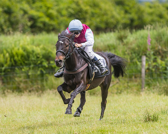 Pony Race 1 - 138 - Div 2