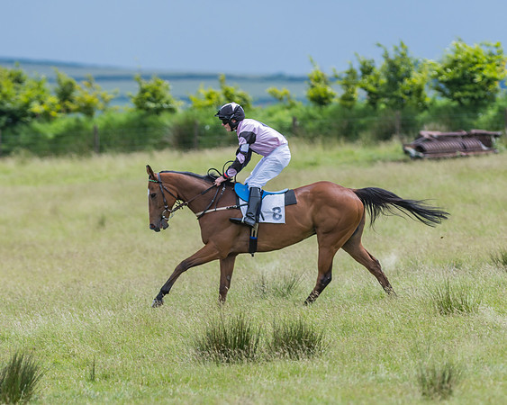Pony Race 2 - 148cm