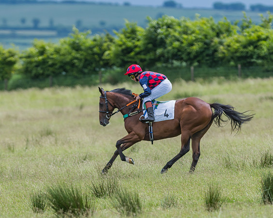 Pony Race 2 - 148cm