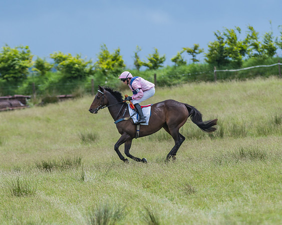 Pony Race 2 - 148cm