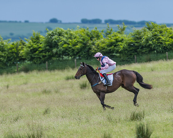 Pony Race 2 - 148cm