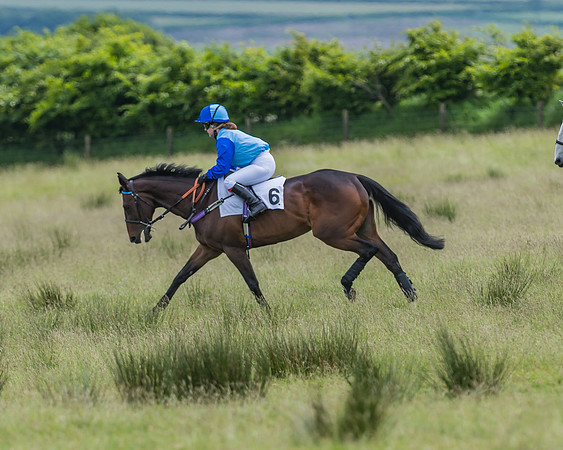 Pony Race 2 - 148cm