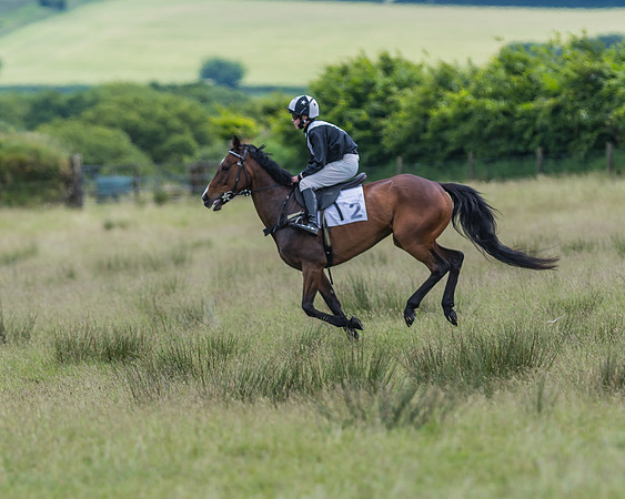 Pony Race 2 - 148cm