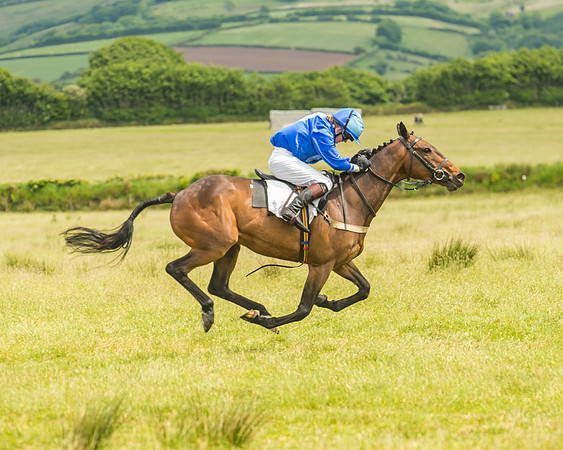 Pony Race 2 - 148cm
