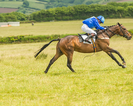 Pony Race 2 - 148cm