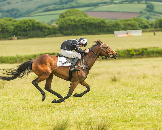 Pony Race 2 - 148cm