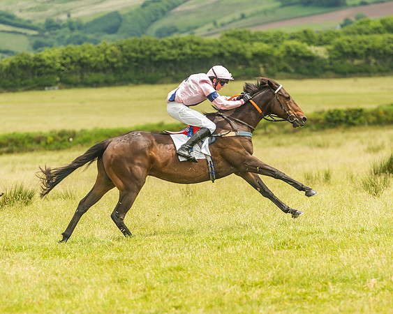 Pony Race 2 - 148cm