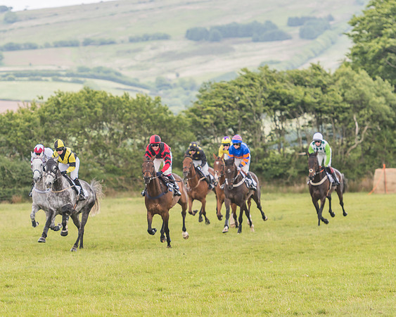 Restricted Race