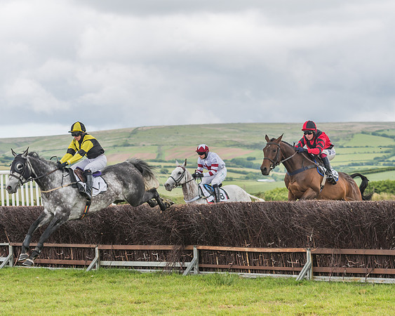 Restricted Race