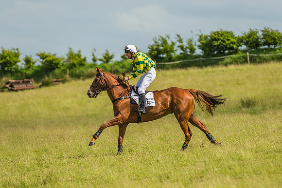 Exmoor Foxhounds