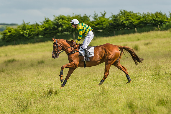 Exmoor Foxhounds