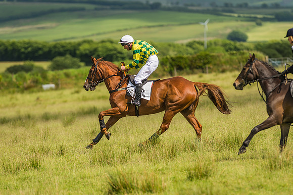 Exmoor Foxhounds