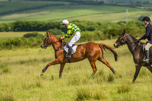 Exmoor Foxhounds