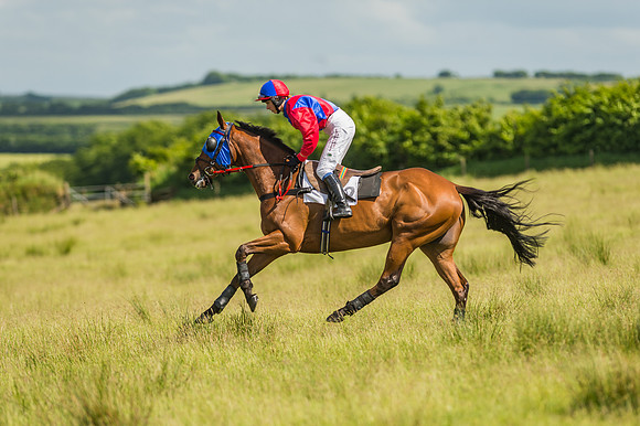 Exmoor Foxhounds