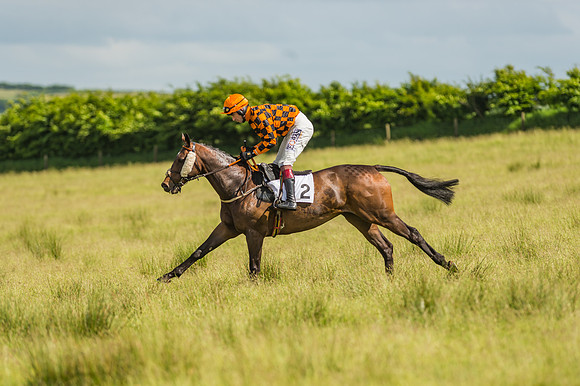Exmoor Foxhounds