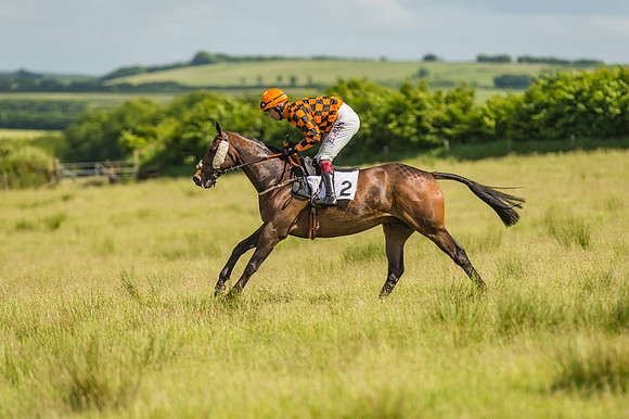 Exmoor Foxhounds