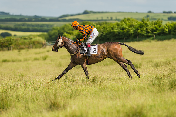 Exmoor Foxhounds