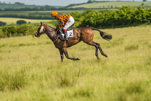 Exmoor Foxhounds